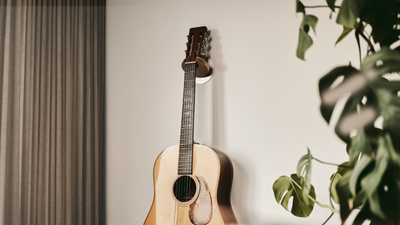 Exploring the World of Guitars: How Many Types Are There?