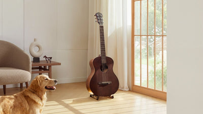 Guitar Parts: A Complete Guide to Understanding Every Part of a Guitar